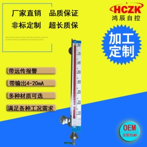 高溫磁翻板液位計(jì)帶遠(yuǎn)傳 不銹鋼磁翻板液位計(jì) 頂裝式磁翻板液位計(jì)